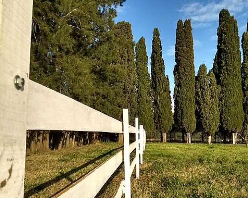 Hermosa Chacra en Venta de 9 Has en San Pedro