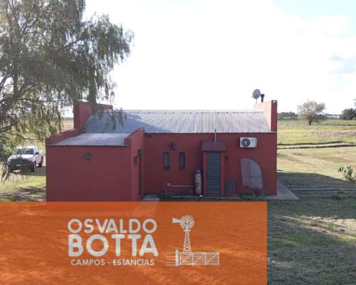 Campo Agricola en Venta 32 Has en Suipacha, Buenos Aires