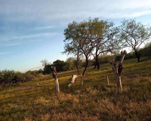 Dueño Vende 7.000has Ganaderas a 100km de las Lajitas, Salta