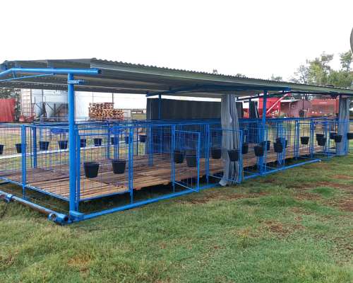 Guacheras Móviles para 20 Terneros