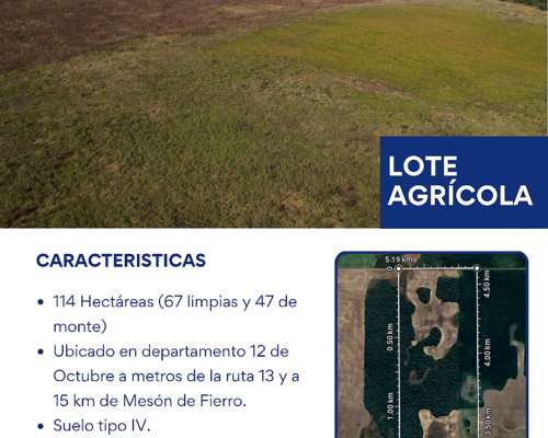 Lote - Campo de 114 Hectáreas en Zona Pinedo Chaco