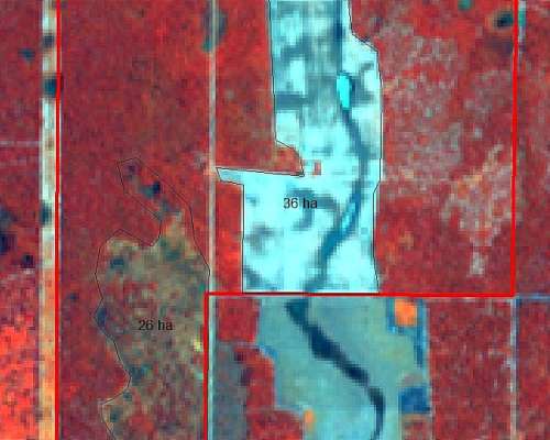 Campo de 175 Hectáreas.