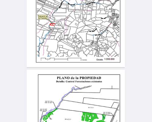 Campo Ganadero Forestal en Gdor Virasoro