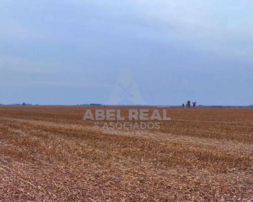 70 Ha Blaquier Prov. de Buenos Aires