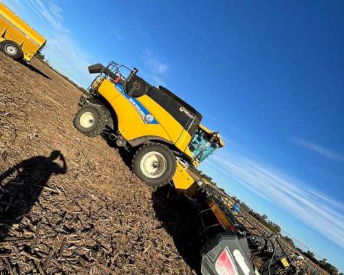 Cosechadora New Holland CR 6.80 Drapper 40 Pies Maizco