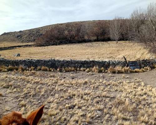 Vendo Campo en la Carolina,san Luis