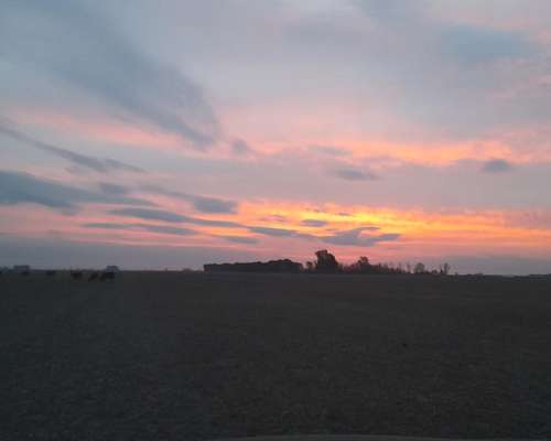 Me Ofresco de Encargado Rural o Tambo