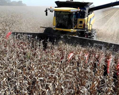 Cabezal Maicero cm 2020 de 18 Surc a 52 con Embocador, con