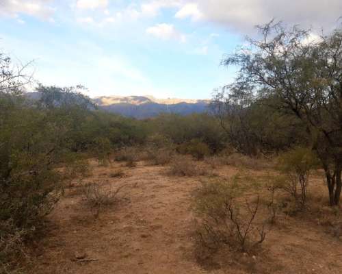 18 Has Llanas con Gran Frente Leandro Alem San Luis