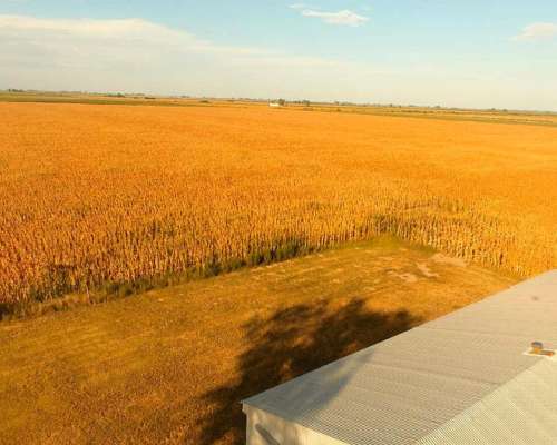 Campo en Venta en Colonia Castelar, Santa FE