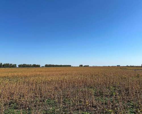 San Andres de Giles, Buenos Aires - 28,3 Ha