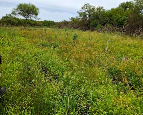 600 Has Ganaderas en Vera para Aprovechar