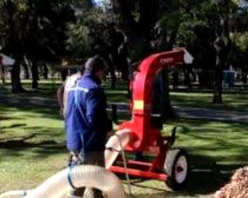 Aspiradora de Hojas Micelli