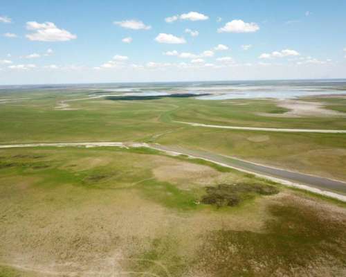 Campo Ganadero 1500 Hectáreas