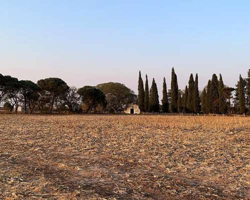 203 Ha Agricolas Suelos Clase 1