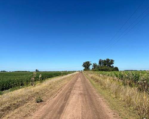 120 Has 100 % Agrícolas sin Desperdicios