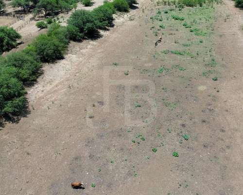 Campo Ganadero en Chuña, Córdoba