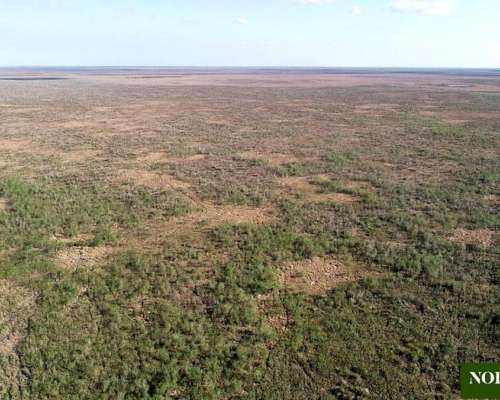 Los Amores, Vera, Santa FE - 10.000 Ha