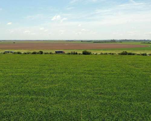 Piquillín, Río Primero, Córdoba - 56 Ha