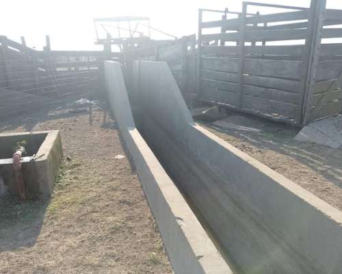 Venta Campo a Tranquera Cerrada (con 900 Vientres Bradford)