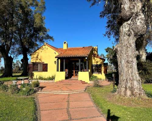 Villa Ruiz, San Andrés de Giles, Buenos Aires - 17 Ha