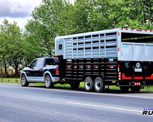 Semirremolque Homologado para Caballos Formato Americano