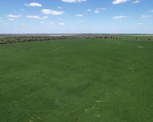 100 Has Agricolas Colonia Raquel/santa FE