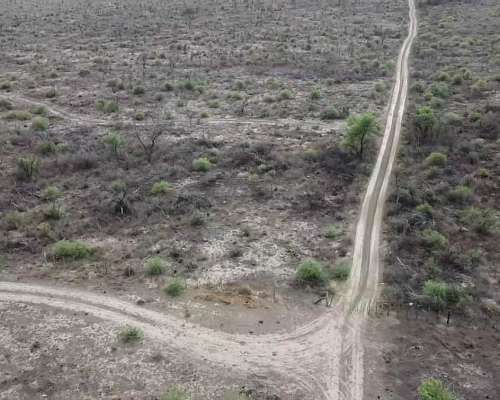 Campo las Palomas-san Luis