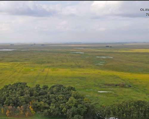 Campo Venta Olavarria 878 Ha Ganaderas