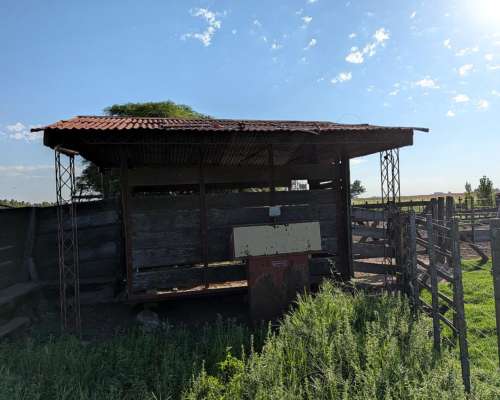 Bascula para Hacienda 3.000 Kg