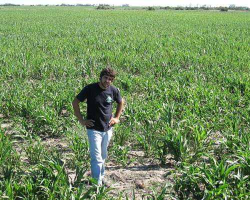 Vendo 1070 Has Mixtas