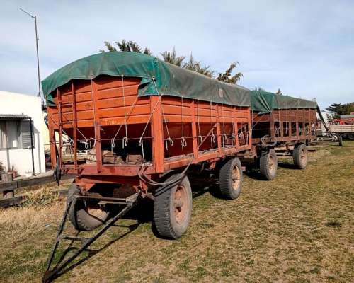 Carros Graneros con Sinfin