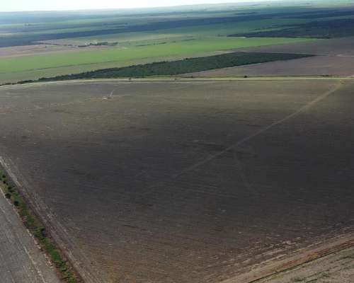 San Luis Naschel 190 Has Agricolas