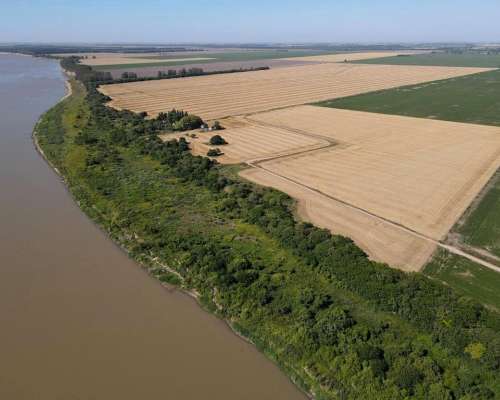 203 Ha Agricolas Suelos Clase 1
