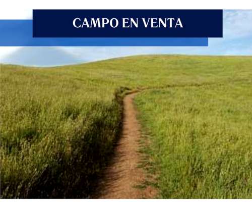 75 Has Lincoln Buenos Aires