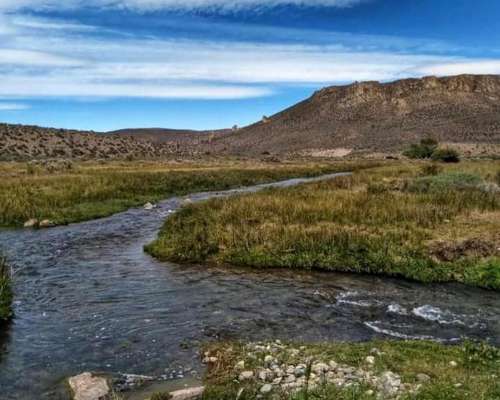 Gualjaina, Cushamen, Chubut - 2.501 Ha