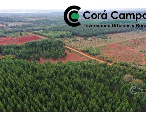 Chacra en Venta - 25 Hectáreas. Gdor, Roca.