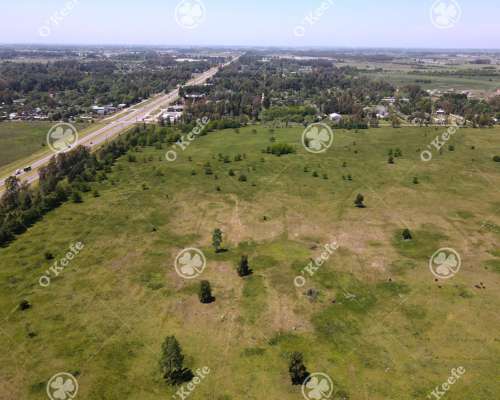 Campo en Venta de 256 Has Sobre Ruta 2 - Ideal Desarrollo