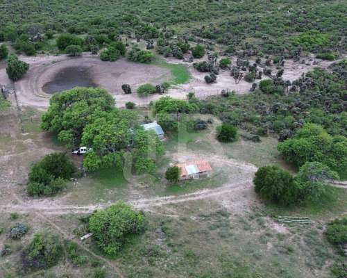 Campo Mixto en San Pedro Norte, Córdoba