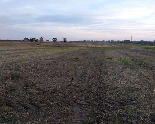 Campo en Bolivar 330 Has