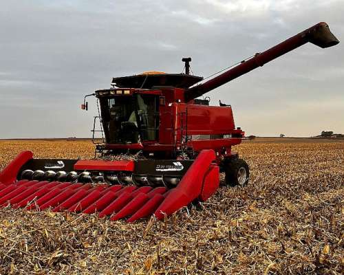 Cosechadora Case 2388 2010