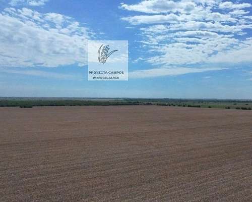 Se Venden 530 Has en Villa Maria-cba