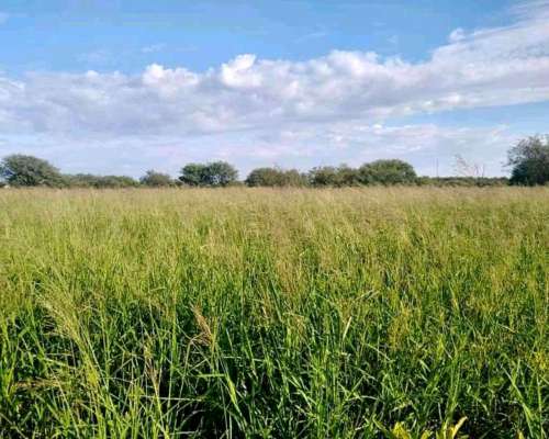 1300 Hectareas Ganaderas en Dean Funes