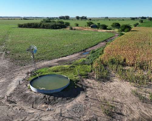 Monte, Buenos Aires - 1.082 Ha