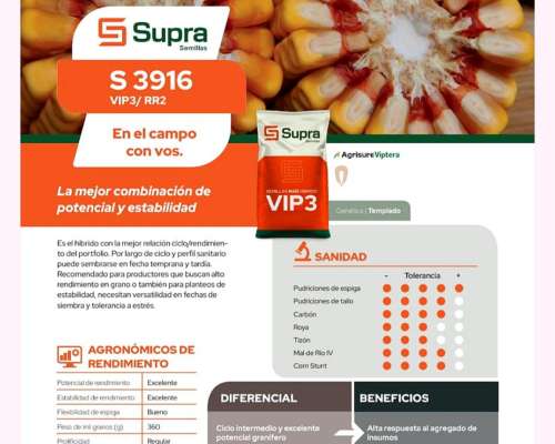 Vendo Semillas Demaiz Supra