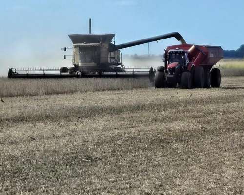 Cosechadora Challenger 680 B 2013 Excelente Estado