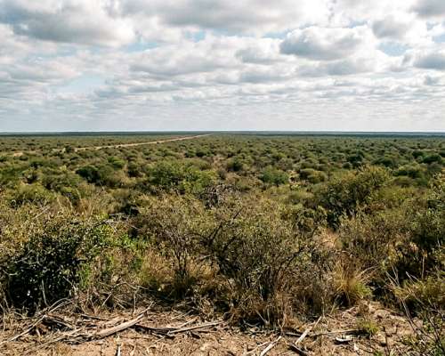 Quimili a 14 km de Ruta 5 700has Ganaderas Aptas Agricultura