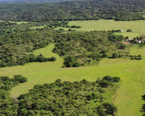 Córdoba Valle de Calamuchita San Ignacio 500 Has Ganaderas