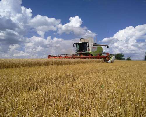 Claas Lexion 750.año 2011. 8500 Hs de Motor.