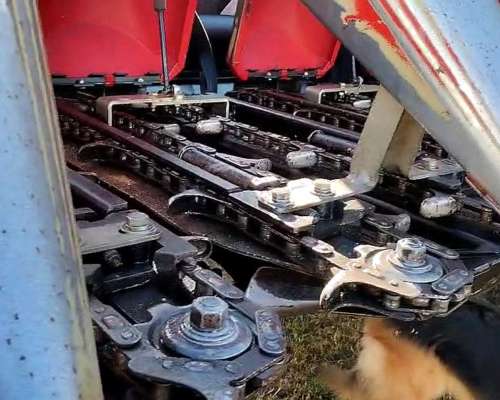 Maicero F. Fabril Evolution 2019 - 14 Surcos a 52,5 CMS